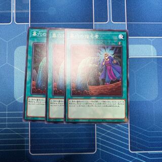 墓穴の指名者 ノーマル　専用