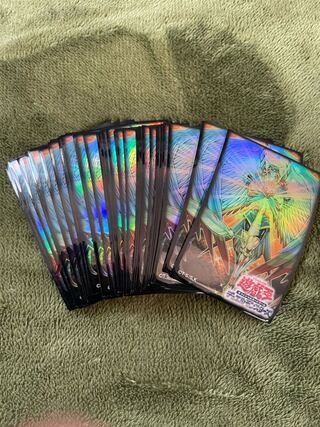 オネスト　スリーブ53枚