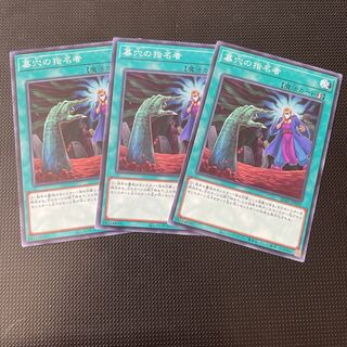 墓穴の指名者 ノーマル 3枚