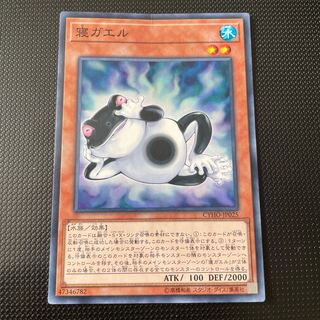 寝ガエル ノーマルレア