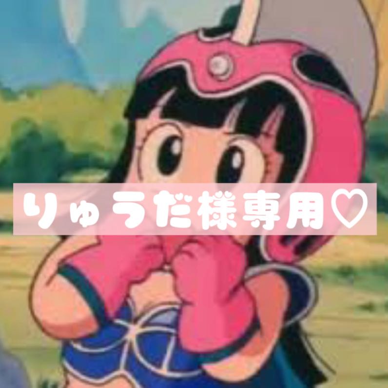 りゅうだ様専用♡
