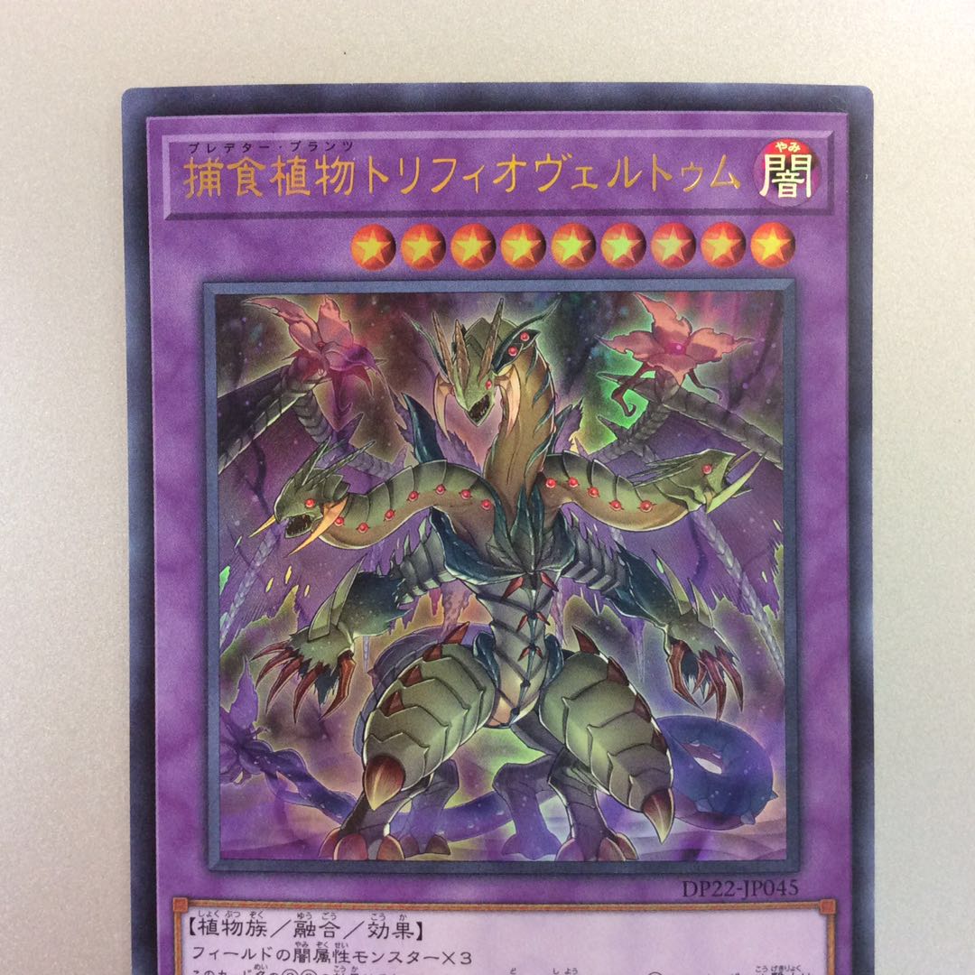 （微キズ）捕食植物トリフィオヴェルトゥム　ウルトラレア