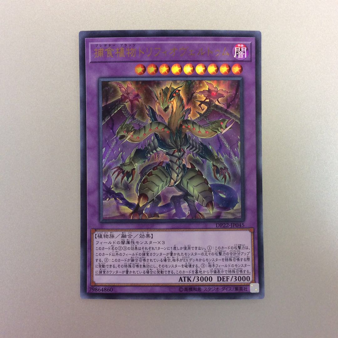 （微キズ）捕食植物トリフィオヴェルトゥム　ウルトラレア