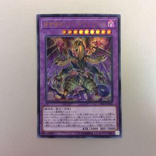 （微キズ）捕食植物トリフィオヴェルトゥム　ウルトラレア