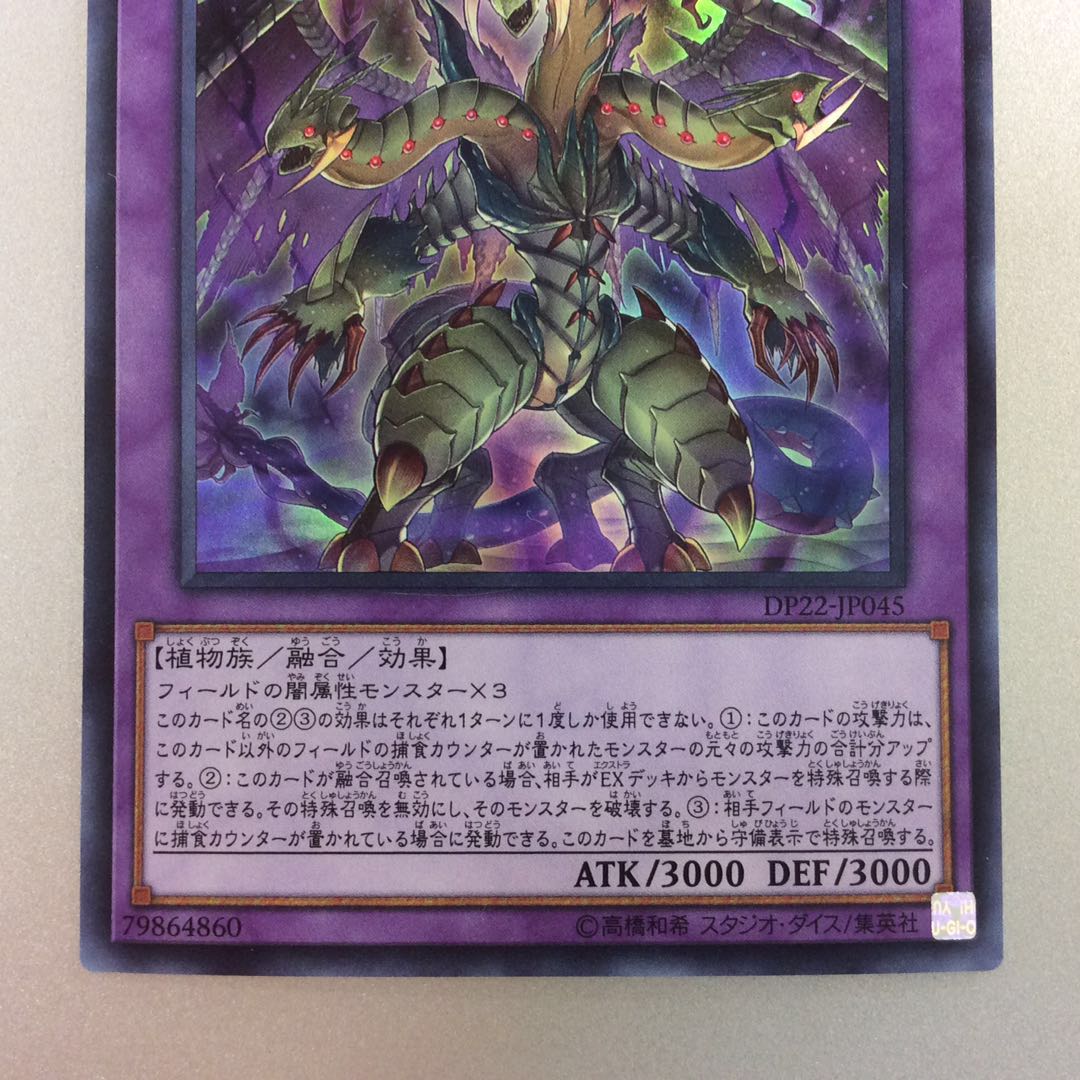 （美品）捕食植物トリフィオヴェルトゥム　ウルトラレア