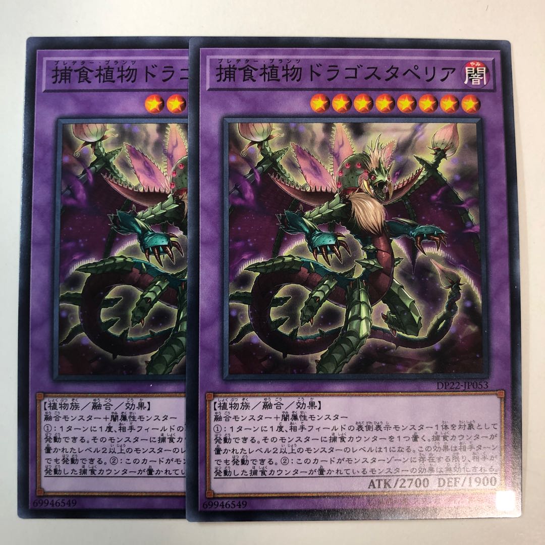 捕食植物ドラゴスタペリア ノーマル 2枚セット