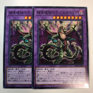捕食植物ドラゴスタペリア ノーマル 2枚セット