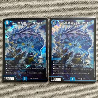 水上第九院 シャコガイル