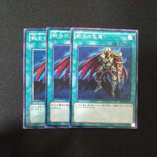 戦士の生還 ノーマル