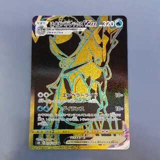 はくばバドレックスVMAX UR 追跡可