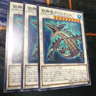 飢鰐竜アーケティス ノーマル