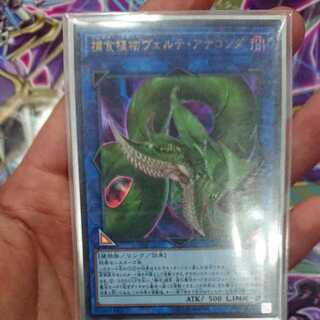 捕食植物ヴェルテ・アナコンダ ウルトラレア