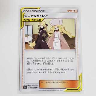 本日限定特価　シロナ＆カトレア　②