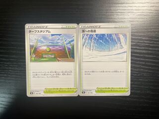 頂への雪道 ターフスタジアム