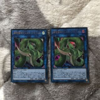 捕食植物ヴェルテ・アナコンダ ウルトラ 2枚