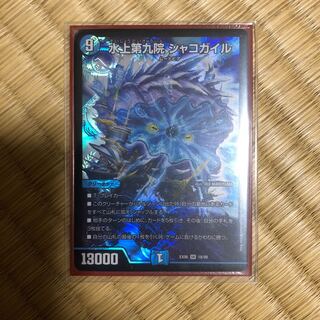 水上第九院シャコガイル