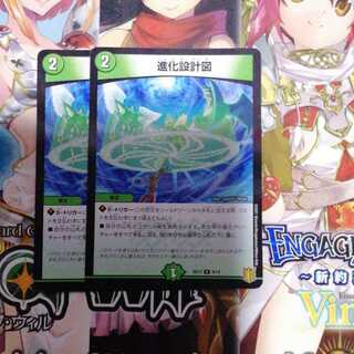 進化設計図 R-foil　2枚セット