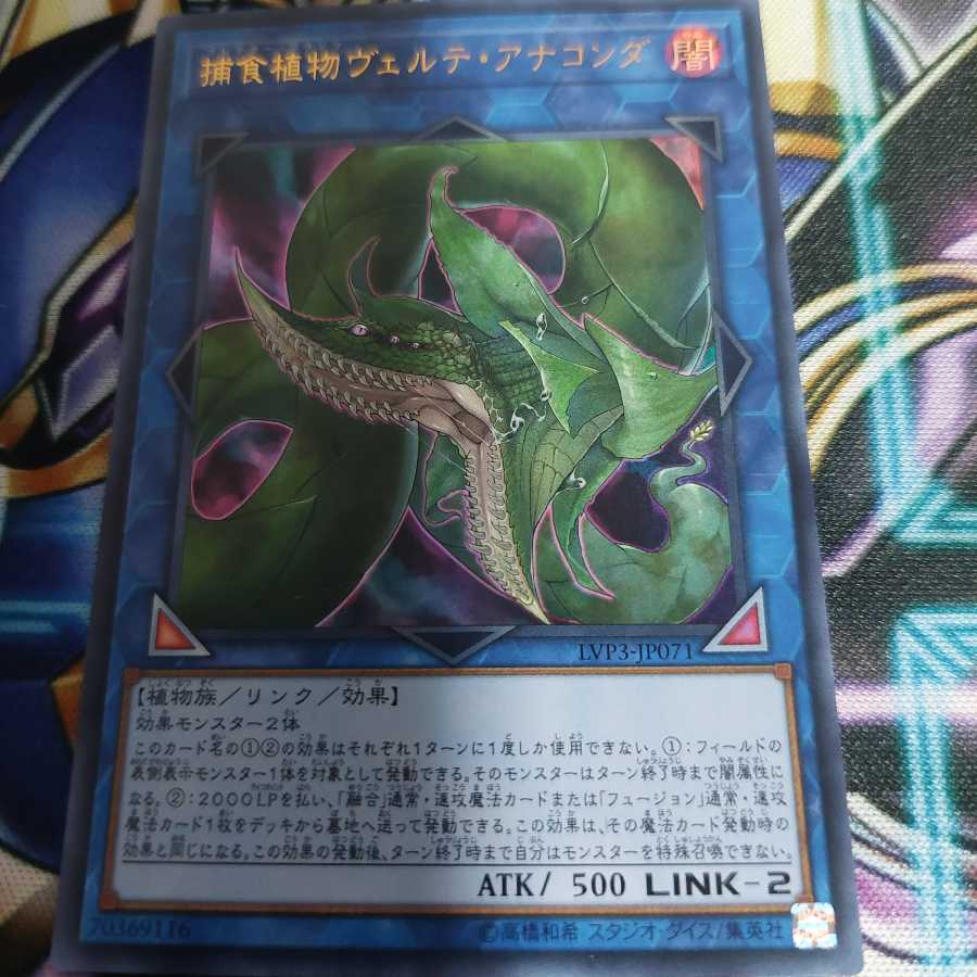 捕食植物ヴェルテ・アナコンダ