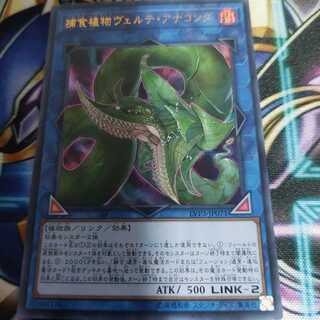 捕食植物ヴェルテ・アナコンダ