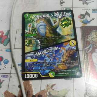 マナの長老 ジョウモン爺｜枯れ葉マナ隠し