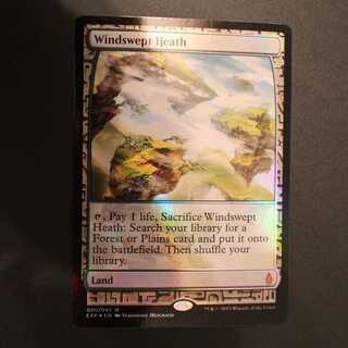 EXP【吹きさらしの荒野】英語 Foil