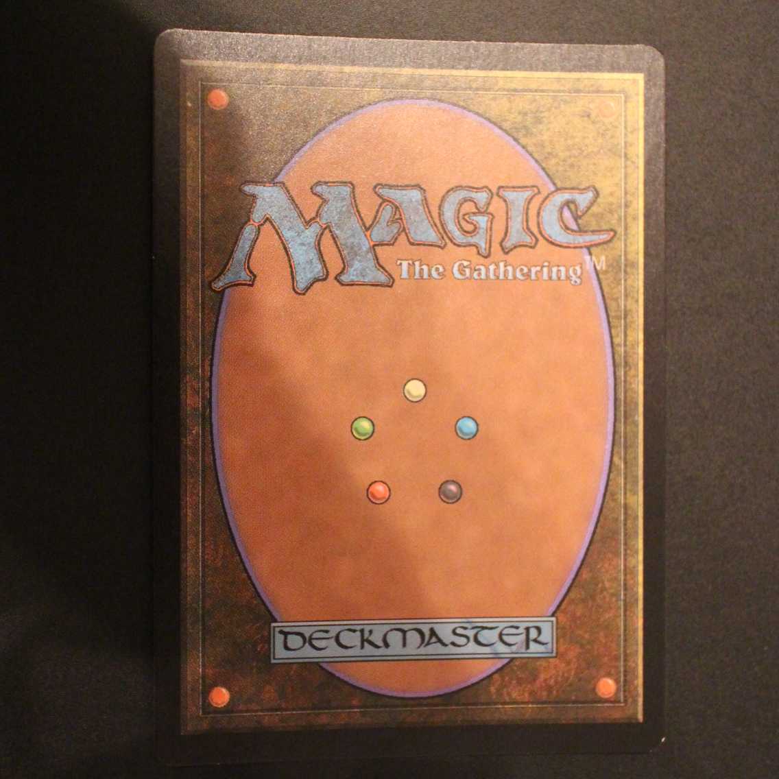 EXP【吹きさらしの荒野】英語 Foil