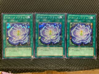 Popotan] Yu-Gi-Oh -8 Rose Bud 3 Sheets Secret
