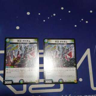 天災 デドダム 2枚セット