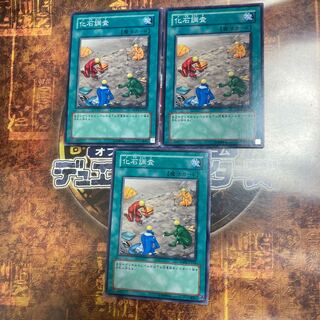 遊戯王★化石調査★ノーマル三枚★
