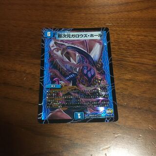 超次元ガロウズホール