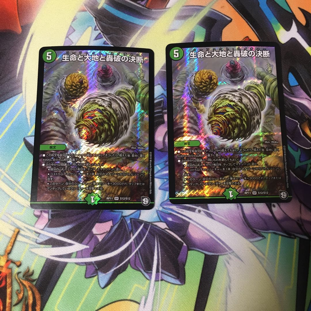 生命と大地と轟破の決断 2枚