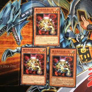 遊戯王 融合呪印生物－光 3枚