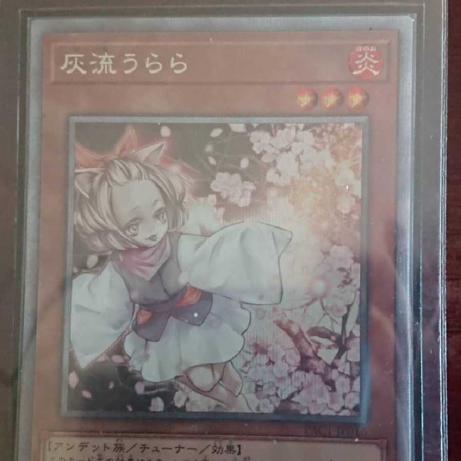 灰流うらら プリシク