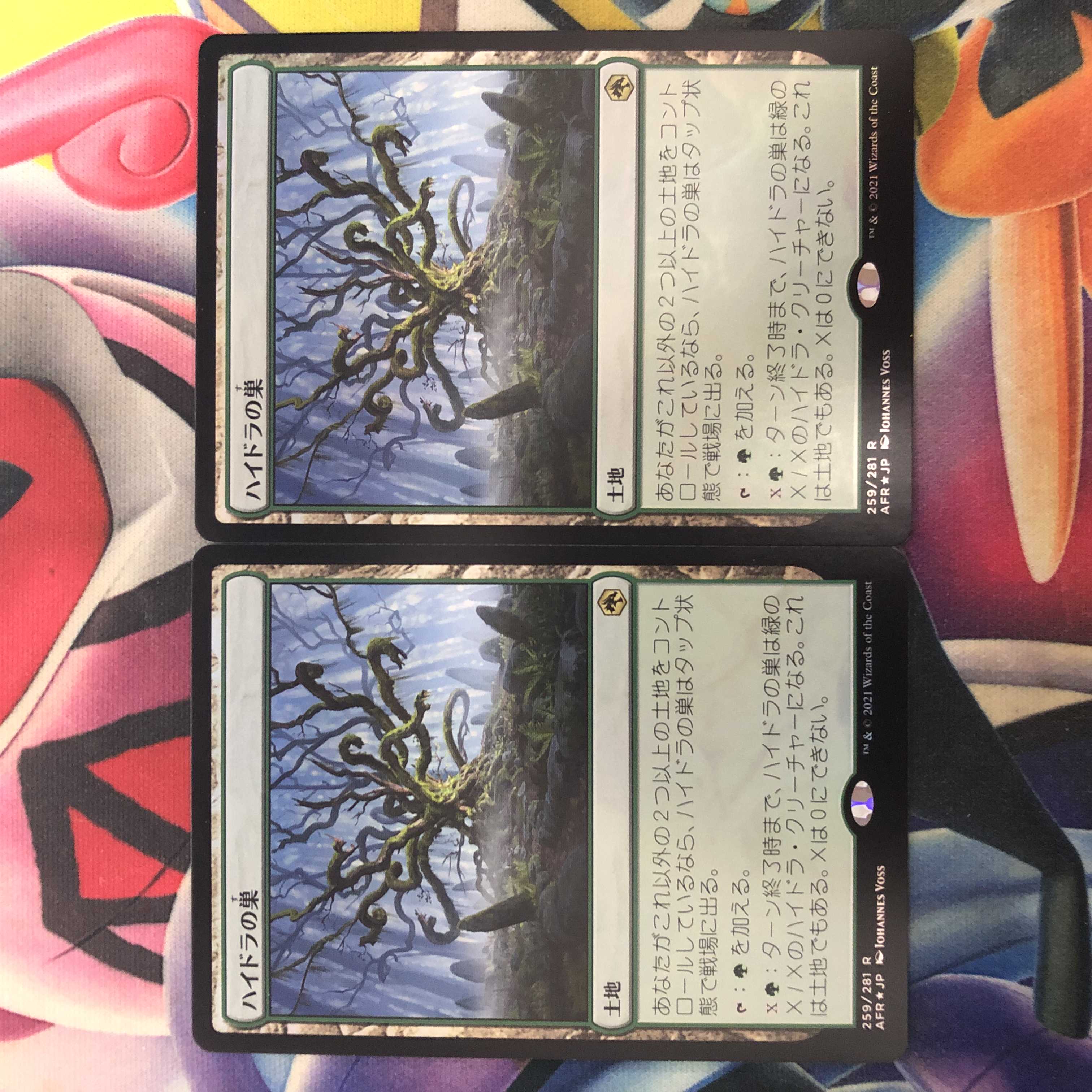 ハイドラの巣 レア 2枚 foil