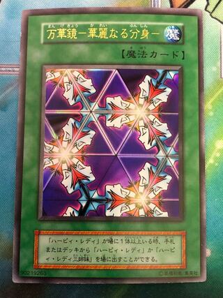 きゃん様専用です。