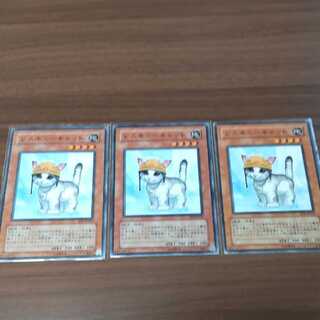 レスキューキャット ノーマル