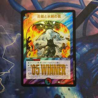 炎槍と水剣の裁　winner