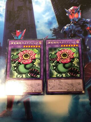 捕食植物キメラフレシア2枚セット