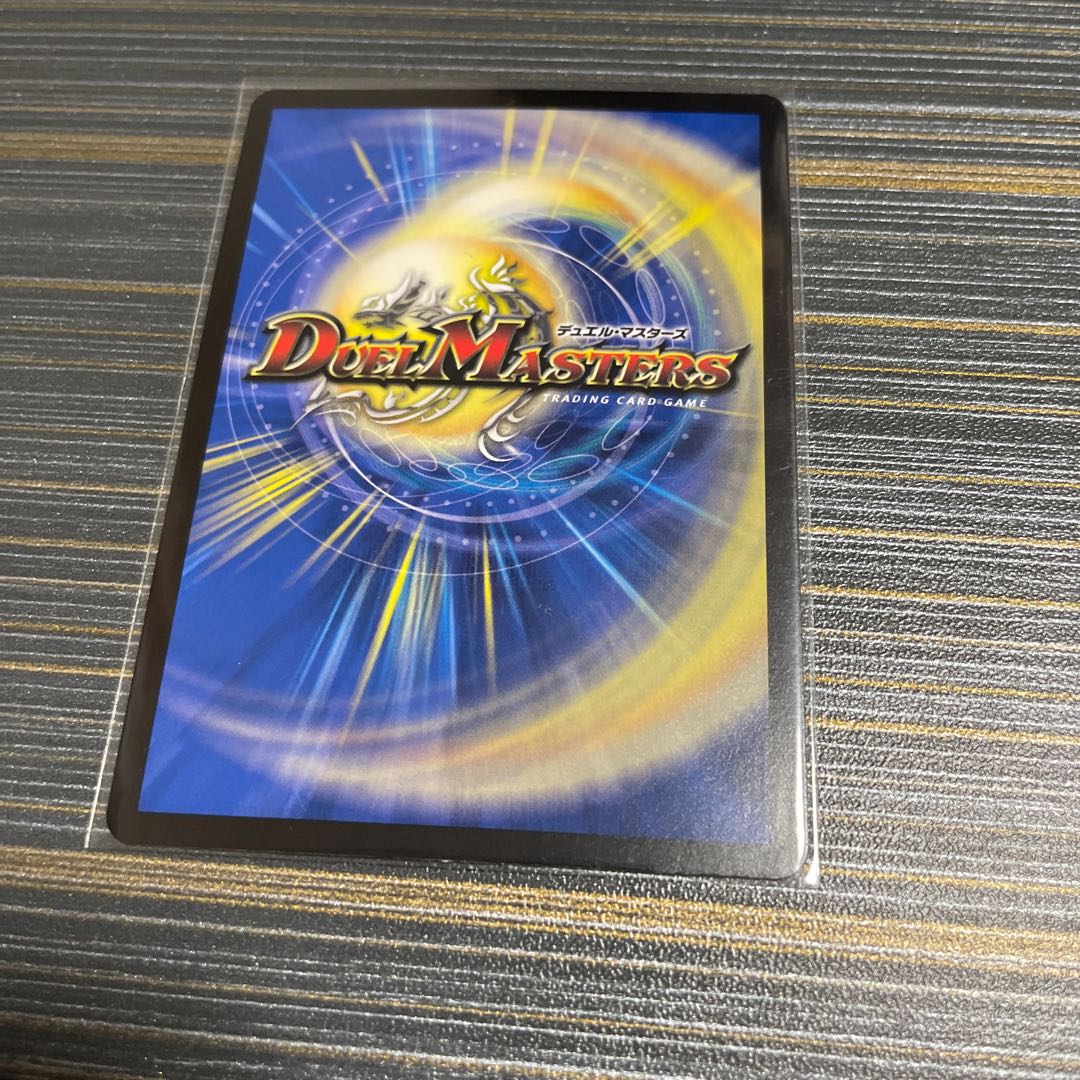 煌星龍 サッヴァーク VR