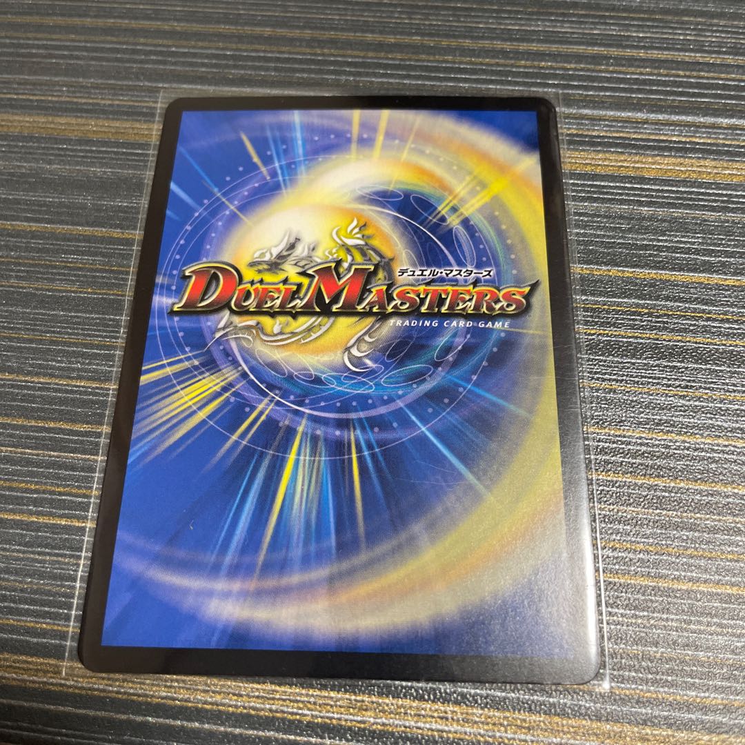 煌星龍 サッヴァーク VR