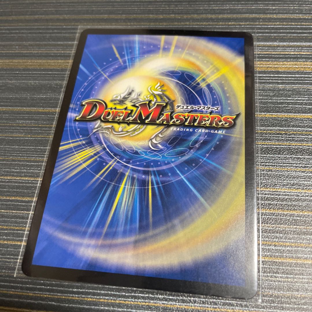 煌星龍 サッヴァーク VR