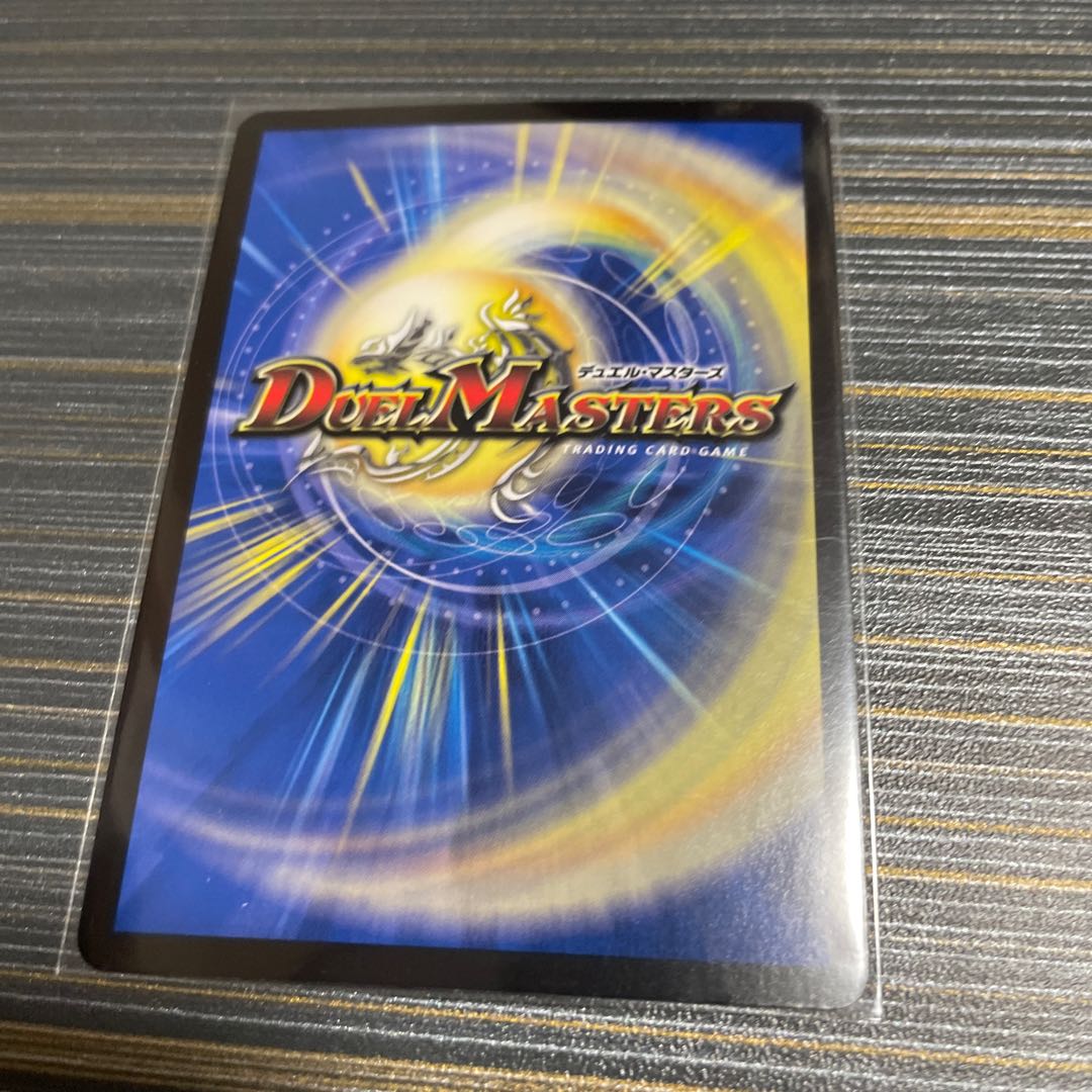 煌星龍 サッヴァーク VR