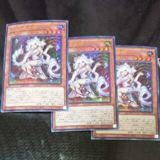 Traptrix Genlisea Ultra Rare Set of 3