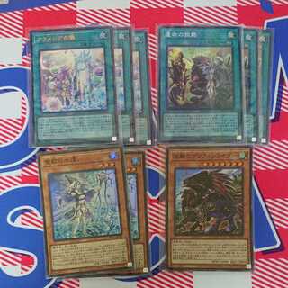 遊戯王 勇者出張セット アラメシアの儀等