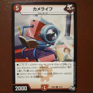 oki102 set discount turtle life