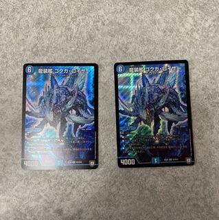 ゴクガロイザー　二枚セット