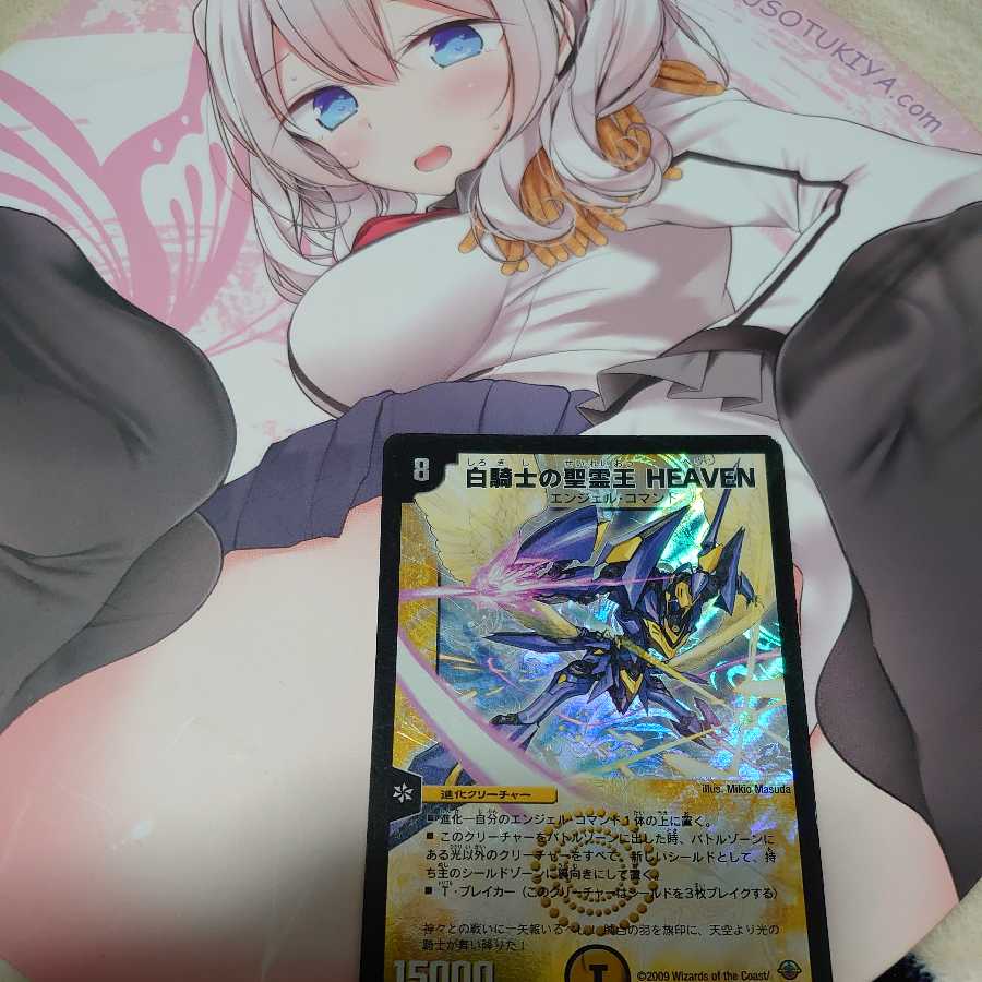 白騎士の聖霊王 HEAVEN