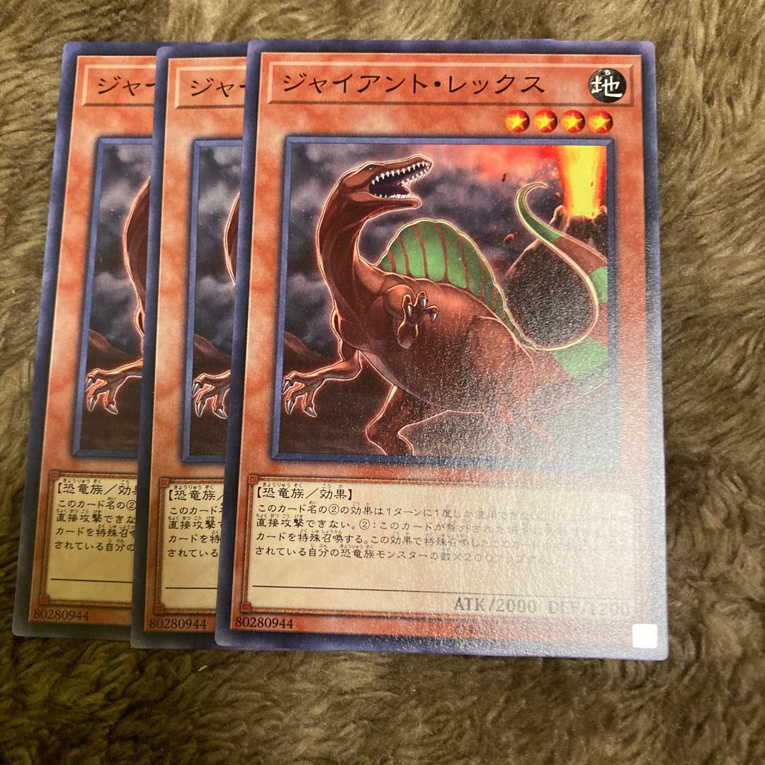 マドレース504ジャイアント・レックス ノーマル