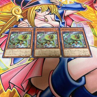 捕食植物サンデウ・キンジー