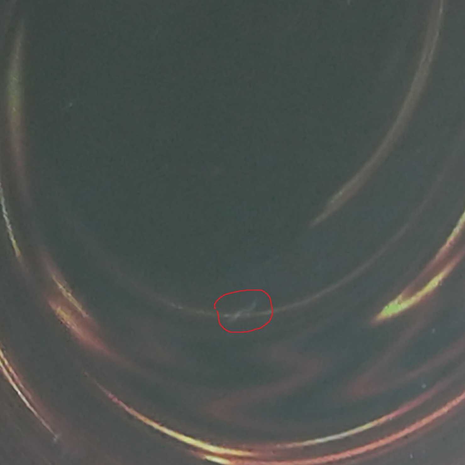 PSA8 　閃刀姫-ロゼ　20thシークレットレア